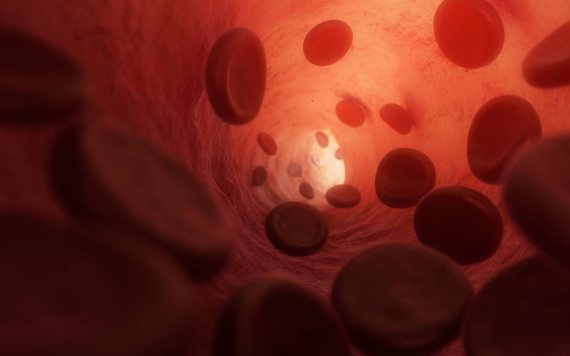 Flow of Red Blood Cells (RBC) inside a Vein stock photo